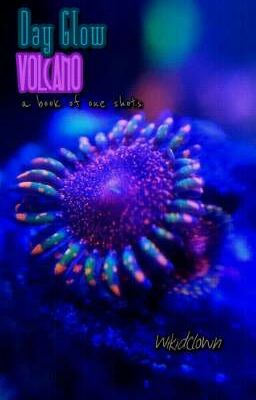 Day Glow Volcano // a book of one shots