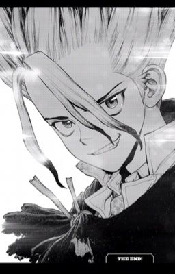 [Dc.Stone]_Allsenku_