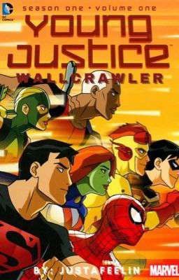 dc young justice y el espectacular spiderman 