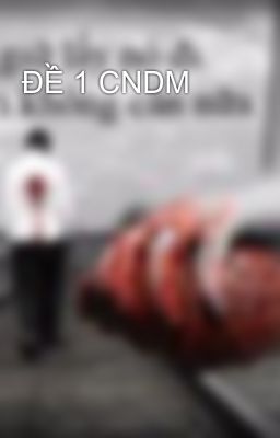 ĐỀ 1 CNDM