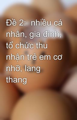 Đề 2:  nhiều cá nhân, gia đình, tổ chức thu nhận trẻ em cơ nhỡ, lang thang