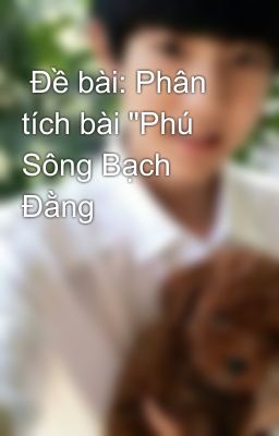  Đề bài: Phân tích bài 