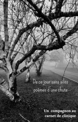 De ce jour sans ailes - poèmes d'une chute