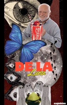 DE LA LUNA ⎡a bnha reader insert ⎦