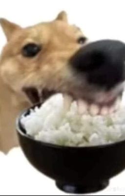 đệ tứ ái 】 răn dạy cao lãnh chi hoa sư tôn