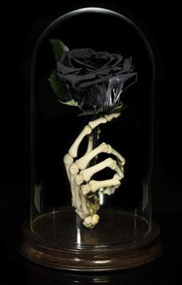~ Death Is A Possibility ~