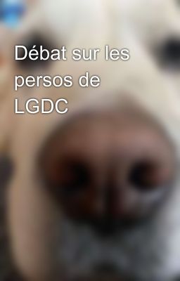 Débat sur les persos de LGDC 