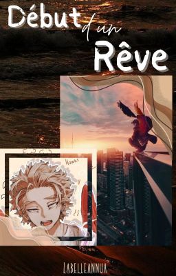 Début d'un rêve (Hawks x Oc) [One shot]