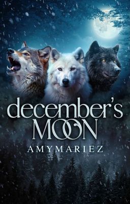 December's Moon