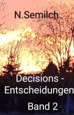 Decisions - Entscheidungen Band 2