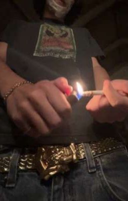 【 Deft - Meiko 】-  Lưu manh