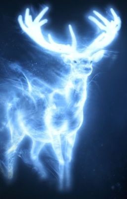 Dein Patronus - finde ihn heraus