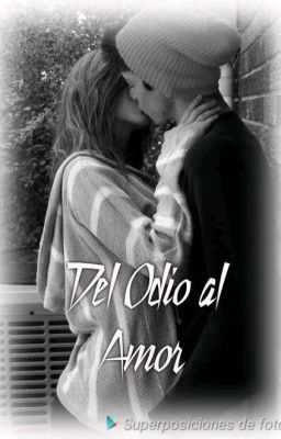 Del Odio al Amor