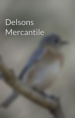 Delsons Mercantile