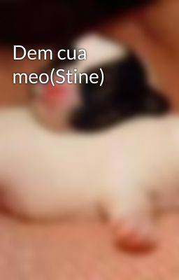 Dem cua meo(Stine)