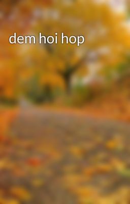 dem hoi hop