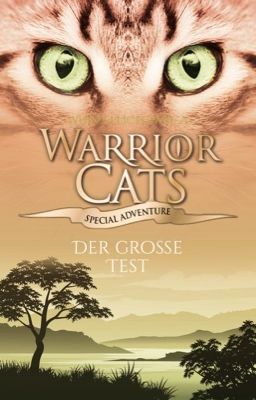 Der große Warrior Cats Test