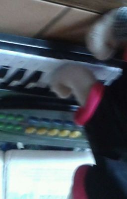 Der Hund der Keyboard spielen will