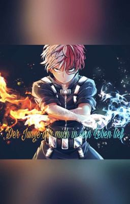 Der Junge der mich in sein Leben ließ (My Hero Academia FF) [Todoroki Shoto-轟焦凍]