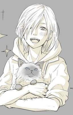 Der Tiger des Eislaufen's  (Yuri on Ice Ff) Yurio x Reader OS [Abgeschlossen]