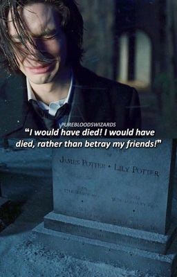 Der Tod des tapferen James Potter und der liebenden Lily Potter