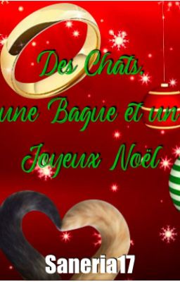 Des Chats, une Bague et un Joyeux Noel