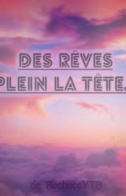 des rêves plein la tête...[ Tome 1]