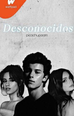 desconocidos ~ Shawn mendes