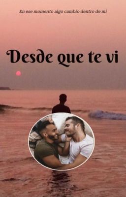 Desde que te vi (gay)