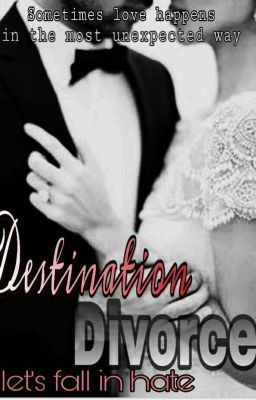 Destination Divorce (Let's Fall In Hate)