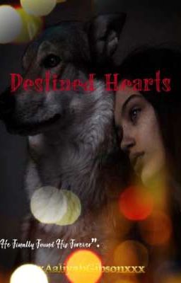 Destined Hearts 