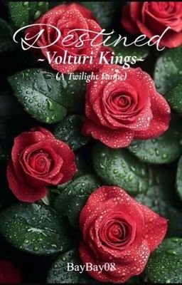 Destined ~ Volturi Kings ~ (A Twilight Fanfic)