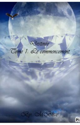 Destinée Tome 1: Le commencement