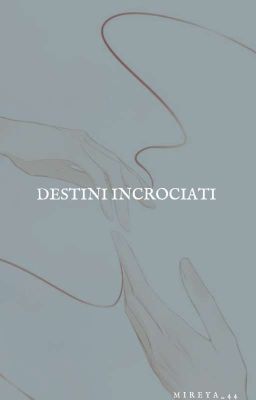 Destini incrociati - ZackRay