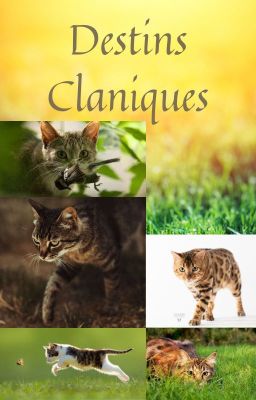 Destins Claniques