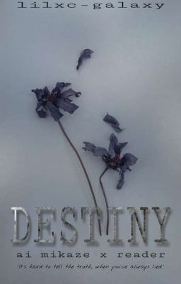 Destiny [Ai Mikaze x Reader] [FATE BOOK TWO]