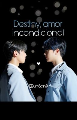 Destiny, amor incondicional. [EunSan]