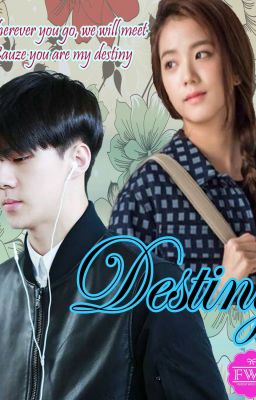 DESTINY (OH SEHUN FANFICTION)