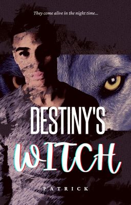 Destiny's Witch (BxB)