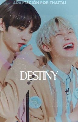 ꒰ Destiny ✔ ៸៸  sᴜɴɢsᴜɴ ᵃᵈᵃᵖᵗ •