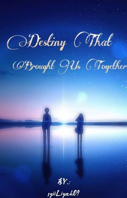 ✔ ║ Destiny That Brought Us Together ⟬Boboiboy X Fem!Reader⟭