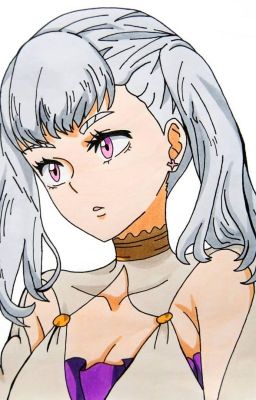 Destructive (Noelle(Black clover) x Male reader)