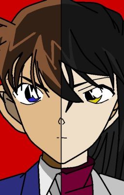 Detective Conan (Shinichi y Tn)