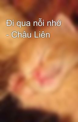 Đi qua nỗi nhớ - Châu Liên