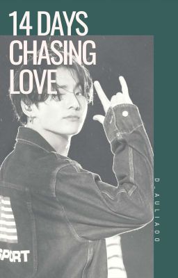 Diandra : 14 Days Chasing Love 