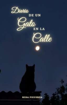 diario de un gato de la calle 