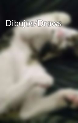 Dibujos/Draws