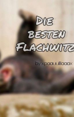 Die besten Flachwitze XD