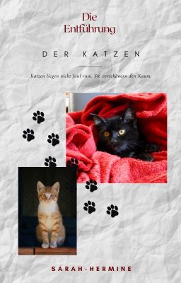 Die Entführung der Katzen