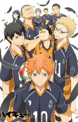 Die Karasuno High School- Haikyuu Fan-Fiction